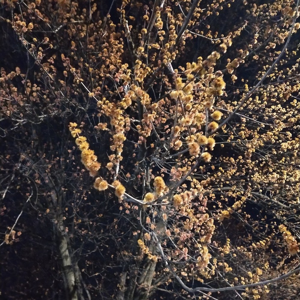 Meet your Posher, Masa